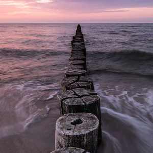 韩国美女一级毛片视频
