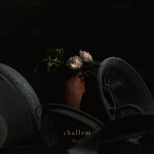 韩国美女一级毛片视频
